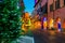 Christmas tree on illuminated cobblestone street in Alba, Italy