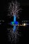 Christmas tree and illuminated fountain at night