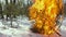 Christmas tree lies in the snow and burns after new year in the forest in slow motion. Fire. Concept end of celebration