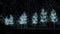 Christmas Tree Lights at Hudson Gardens
