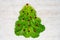 Christmas tree lined with green lettuce leaves, decorated with red raspberries. Food for the New Year. Table decoration.