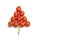 Christmas tree made of cherry tomatoes on a white background. Isolated background. Christmas decoration. Food tree. New year and