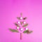 Christmas tree made from fir branches, pink baubles and a cinnamon stick as the trunk, greeting card