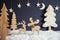 Christmas Tree, Moose Couple In Love, Moon, Snow, Black Background