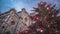 Christmas tree near Santa Maria del Fiore, the main church of Florence