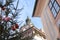 Christmas tree on palace in Cesky Krumlov