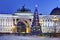 Christmas tree on Palace Square in St. Petersburg, Russia, night