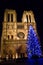 Christmas tree in Paris, in front of the Notre-dame-de-Paris cathedral in the winter at night