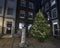 Christmas Tree at Pickering Place in London