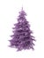 Christmas tree, purple, isolated on white