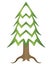 Christmas tree with roots, coniferous plant - vector full color picture for a logo or pictogram. Coniferous tree for sign or icon