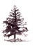 Christmas tree, silhouetted monochrome graphic ink drawing on a white background