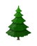 Christmas tree. Spruce, evergreen tree.