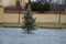 Christmas tree in the square. The connection of the decoration lights is a cable through the cover where the electricity switchboa