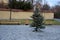 Christmas tree in the square. The connection of the decoration lights is a cable through the cover where the electricity switchboa