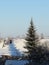 Christmas tree strewn with snow standing on the dacha.