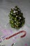 Christmas tree succulent composition with decorative pearl balls and bell shaped forms