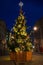 Christmas tree on Waterloo Place in London, England