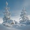 Christmas trees with fabulous view. Stunning natural backdrop.