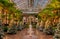 Christmas trees inside the Conservatory at Longwood Gardens, Pen