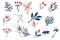 Christmas twigs set. Winter floral elements. Hand draw branches, berries and leaves. Holiday decoration for wallpaper, clothing,