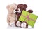 Christmas: Two isolated teddy bears in love holding a green pres