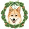 Christmas watercolor illustration with dog, Akita Inu in the decoration of a wreath of fir branches. Card, poster etc.