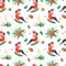 Christmas watercolor seamless pattern. Bullfinch. Winter Robin bird with red breast feathers on white background.