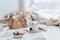 Christmas white background. Aesthetics marshmallows cocoa with homemade ginger cookies in front of snowy weather