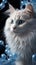 Christmas white cat, full face detail, close-up muzzle, blue eyes