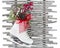 Christmas White Ice Skate Shoes Red Ribbon Pine Cone Wood Rustic