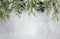 Christmas or winter background with a border of green and frosted evergreen branches on a grey vintage board. Flat lay