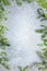 Christmas or winter background with a border of green and frosted evergreen branches on a grey vintage board. Flat lay