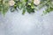 Christmas or winter background with a border of green and frosted evergreen branches and pine cones on a grey vintage board. Flat