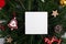 Christmas winter empty 5x5 square card mockup on natural fir branch background