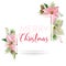 Christmas Winter Poinsettia Flower Banner, Graphic Background, Floral December Invitation, Flyer or Card
