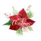Christmas Winter Poinsettia Flower Card or Background with place for your text