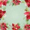 Christmas Winter Poinsettia Flowers Background, Card or Banner with place for your text