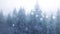 Christmas Winter Snow Fall 4K Animation - Happy Christmas & Christmas Tree Winter Snow Fall Background . Christmas Theme & Xmas