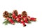 Christmas wrapped candies over fie branches isolated