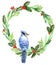 Christmas wreath blue jay on a branch