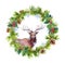 Christmas wreath with deer animal, snowflakes. Watercolor - spruce tree branches, holly, cones