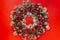 Christmas wreath greeting card made of spruce twigs, lichen, with cones and berries, isolated on a red background