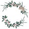 Christmas wreath of ilex branches with red berries and spruce branch, evergreen tree, pine cone. Emerald holly leaves