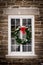 Christmas Wreath on Old Window Pane