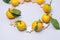 Christmas Wreath With Tangerines Mandarins Clementines Citrus Fruits and Gingerbread Cookies Christmas Food Concept