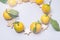 Christmas Wreath With Tangerines Mandarins Clementines Citrus Fruits and Gingerbread Cookies Christmas Food Concept Toned