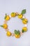 Christmas Wreath With Tangerines Mandarins Clementines Citrus Fruits and Gingerbread Cookies Christmas Food Concept Vertical