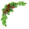 Christmas Wreath with winter berries and rose hips.Green garland with cones and berries. New Year decor.Eps 10