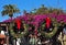 Christmas Wreaths Purple Bouganvilla Old San Diego